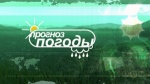 ОПЕРАТИВНЫЙ ЕЖЕДНЕВНЫЙ ПРОГНОЗ 