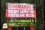 В Саратовской области введено ограничение на пребывание граждан в лесах