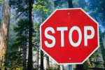 В Саратовской области введено ограничение на пребывание граждан в лесах