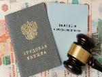 Электронные трудовые книжки дополнены сведениями о трудовой деятельности прошлых лет