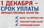 Платите налоги своевременно!