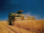 Подведены итоги ежегодного конкурса " Урожай-2016"