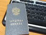 Для саратовцев, впервые устраивающихся на работу, трудовая книжка станет электронной