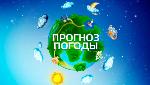 ОПЕРАТИВНЫЙ ЕЖЕДНЕВНЫЙ ПРОГНОЗ 
