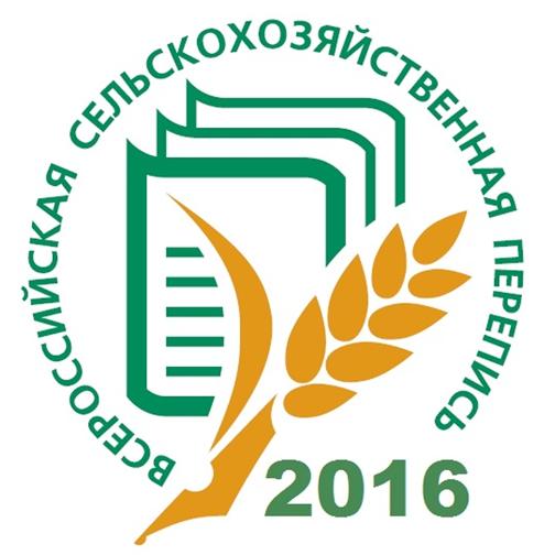 В Саратовской области в полтора раза выросли посевы сахарной свеклы