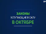 Какие нормы вступают в силу с 28 октября?