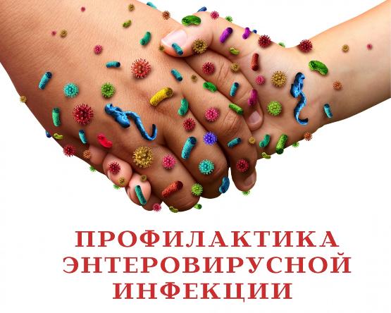 Профилактика ЭВИ