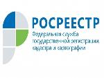 Кадастровая палата запустит всероссийскую горячую линию по дачным вопросам