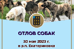 Отлов животных