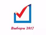 Выборы 2017