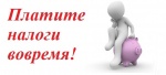Платите налоги своевременно!