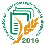 В Саратовской области в полтора раза выросли посевы сахарной свеклы