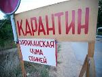 АЧС. Локализация. Выплаты