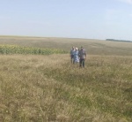 Благоустройство