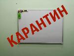 Карантин 