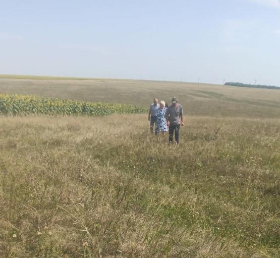 Благоустройство