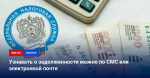 Информирование о задолженности по налогам доступно по SMS или электронной почте