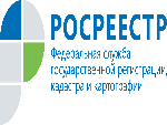 Формирование института «здорового» собственника