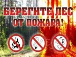 Соблюдайте правила пожарной безопасности в лесу!