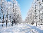 ПРОГНОЗ
