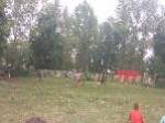 Товарищеский матч