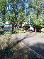Благоустройство