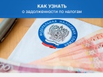 Информирование о задолженности по налогам доступно по SMS или электронной почте