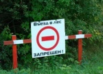 В Саратовской области введено ограничение на пребывание граждан в лесах