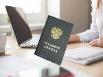 Отчеты по электронным трудовым книжкам