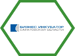 Бизнес-инкубатор Саратовской области 8 апреля 2021 года