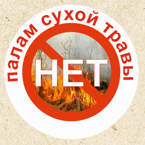 Нет Палам 2016 г..jpg